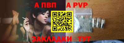 дмт Гай