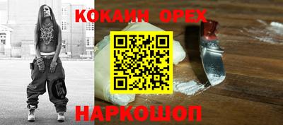 дмт Гай
