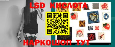 дмт Гай