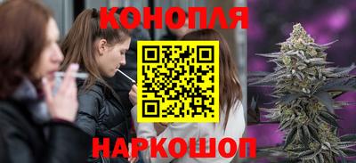 дмт Гай