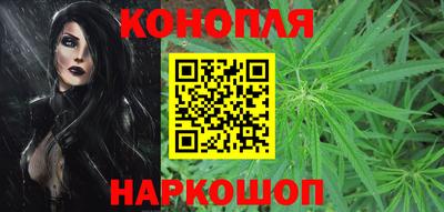 дмт Гай