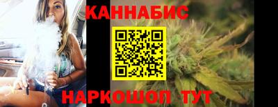 дмт Гай