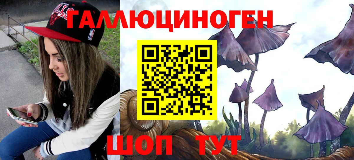 Галлюциногенные грибы Magic Shrooms Грязи